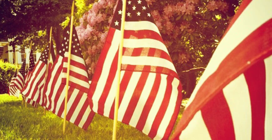 Seven American flags on rods placed in a line in the grass of a front yard with azalea bushes behind them.